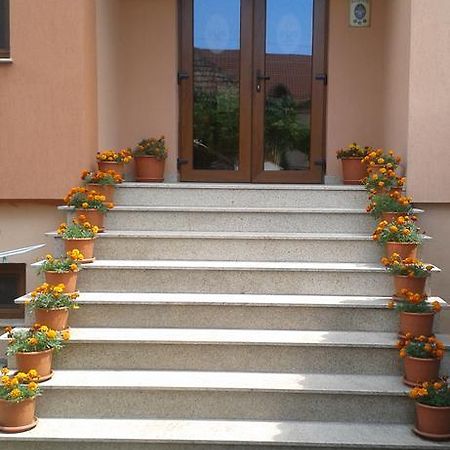 Pensiunea Damiris Băile Felix Exterior foto
