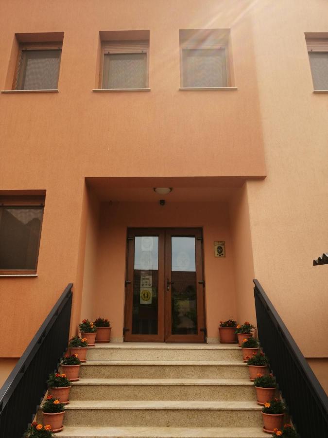 Pensiunea Damiris Băile Felix Exterior foto