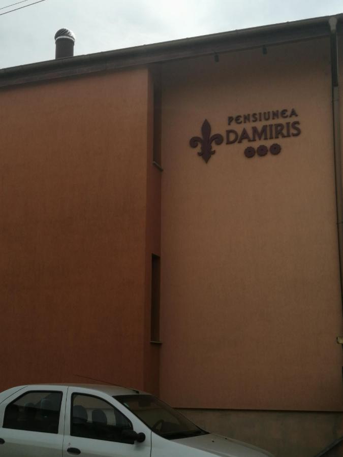 Pensiunea Damiris Băile Felix Exterior foto